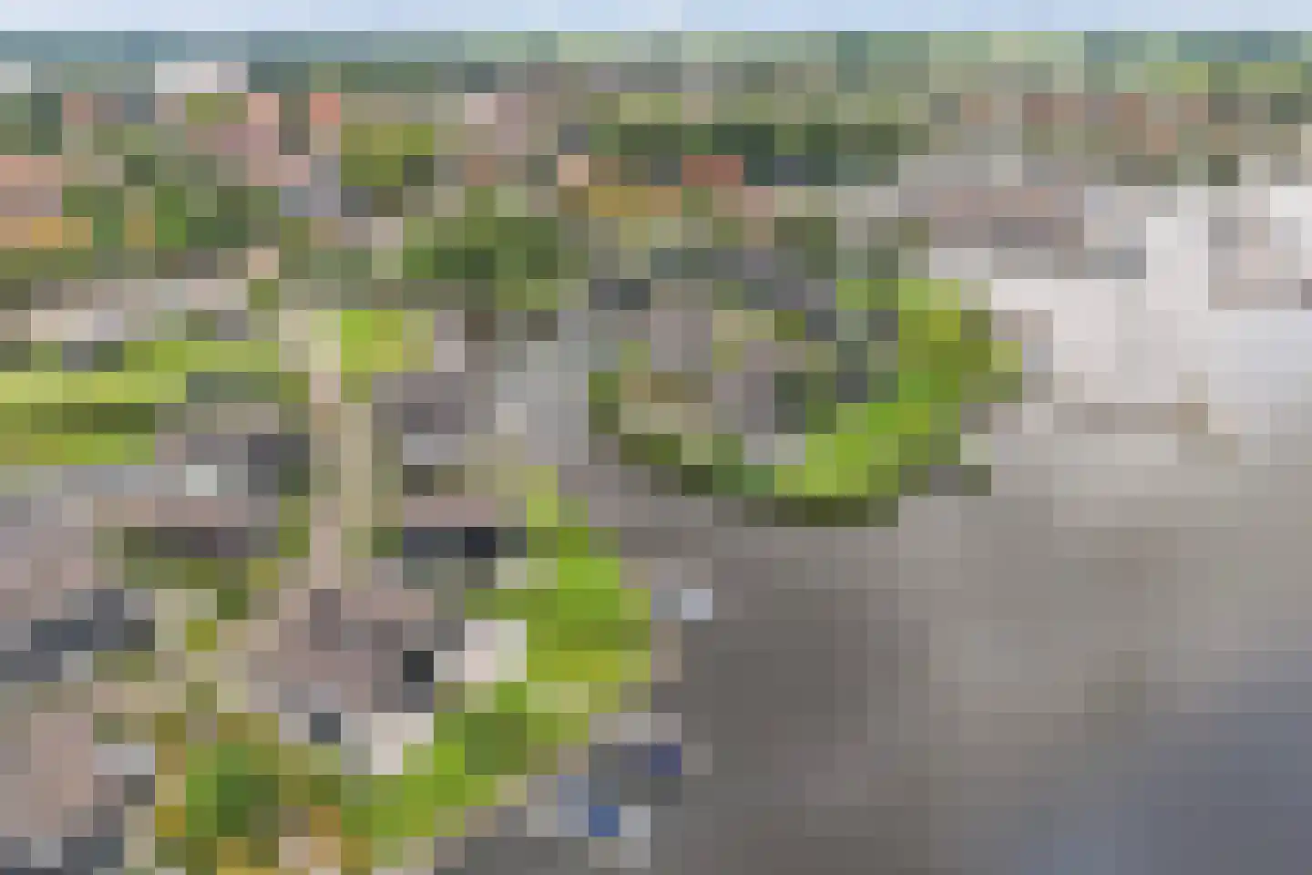 Oan'e Poel 24 Terherne thumbnail 9