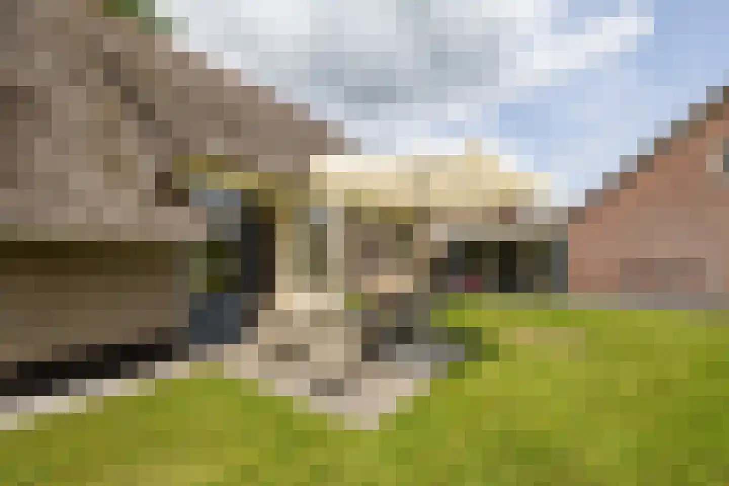 Oane Binnesloane 15 Twijzelerheide thumbnail 10