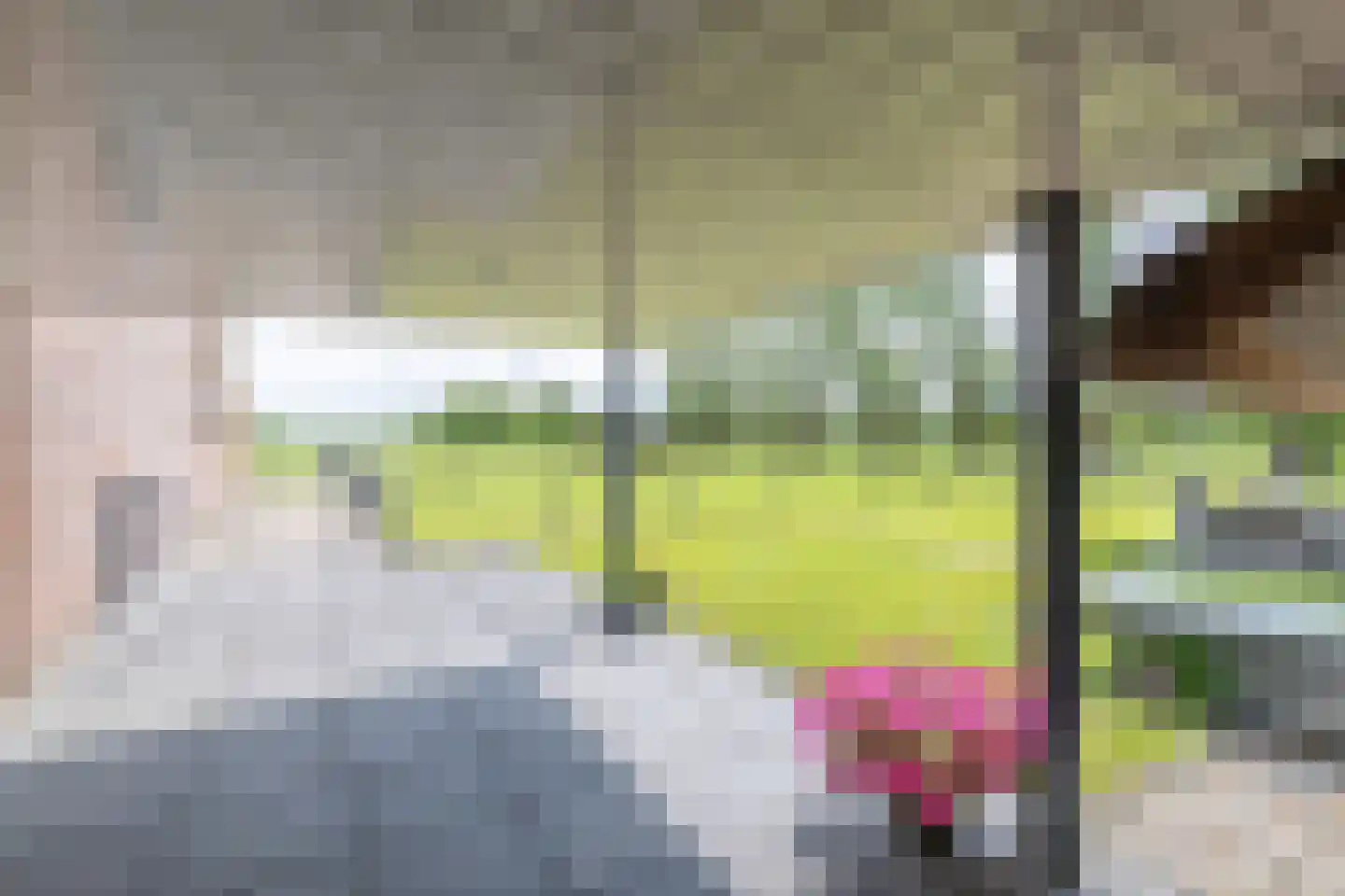 Oane Binnesloane 15 Twijzelerheide thumbnail 14