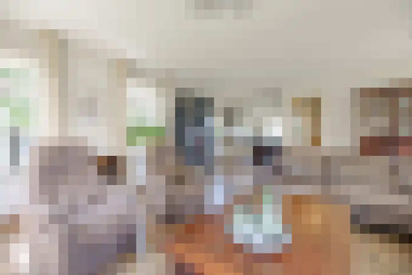Oane Binnesloane 15 Twijzelerheide thumbnail 18