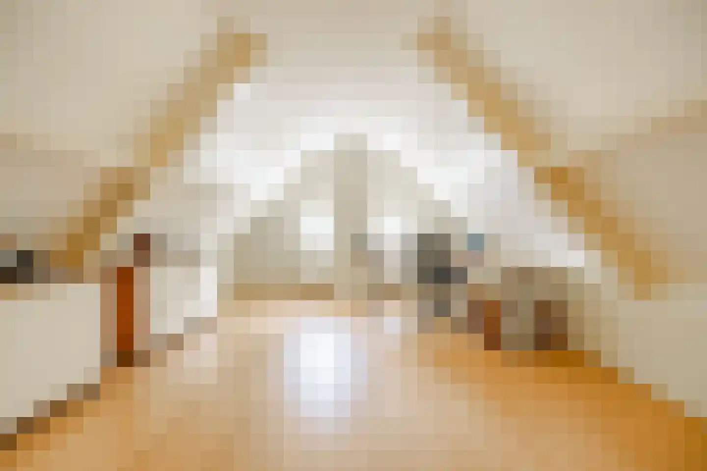 Oane Binnesloane 15 Twijzelerheide thumbnail 33