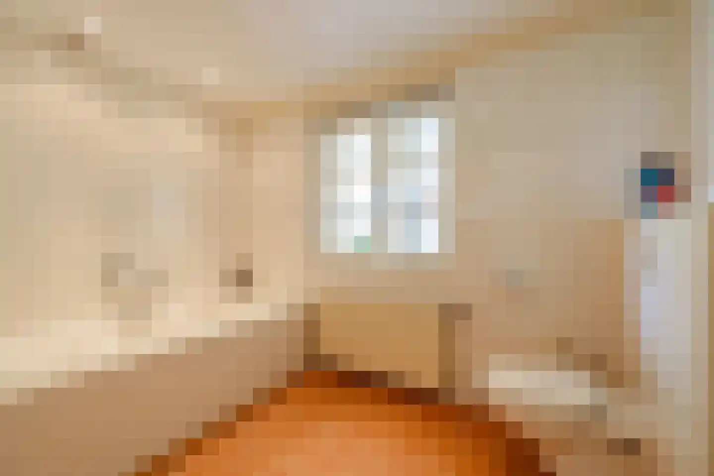 Oane Binnesloane 15 Twijzelerheide thumbnail 52