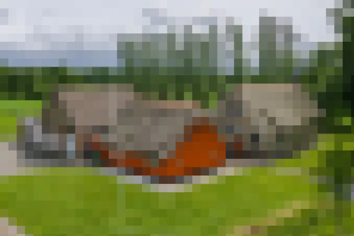 Oane Binnesloane 15 Twijzelerheide thumbnail 6
