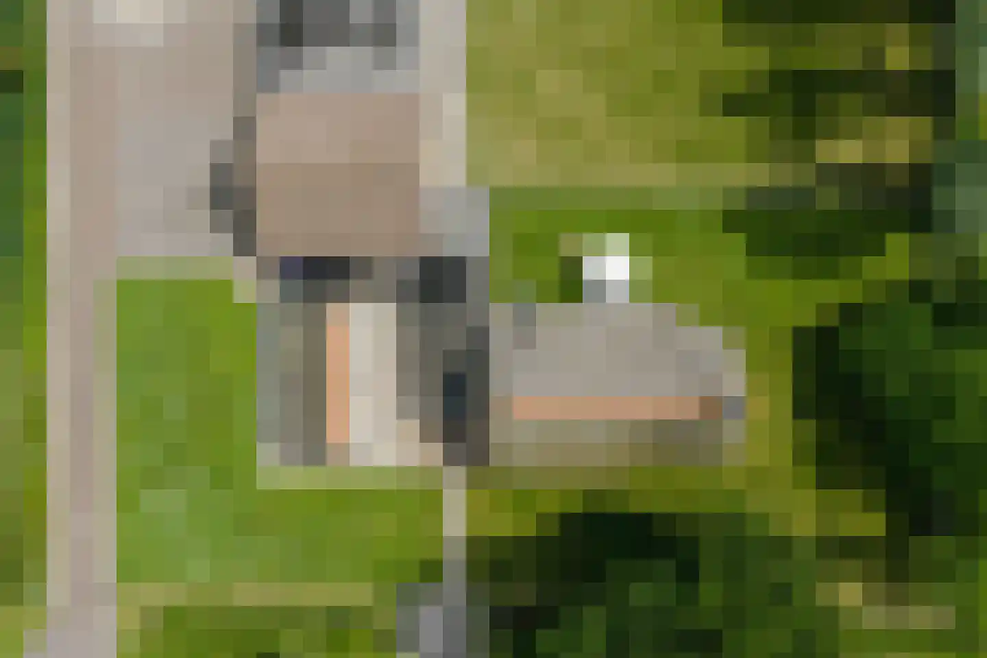 Oane Binnesloane 15 Twijzelerheide thumbnail 63