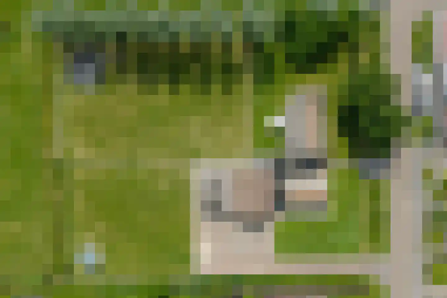 Oane Binnesloane 15 Twijzelerheide thumbnail 64