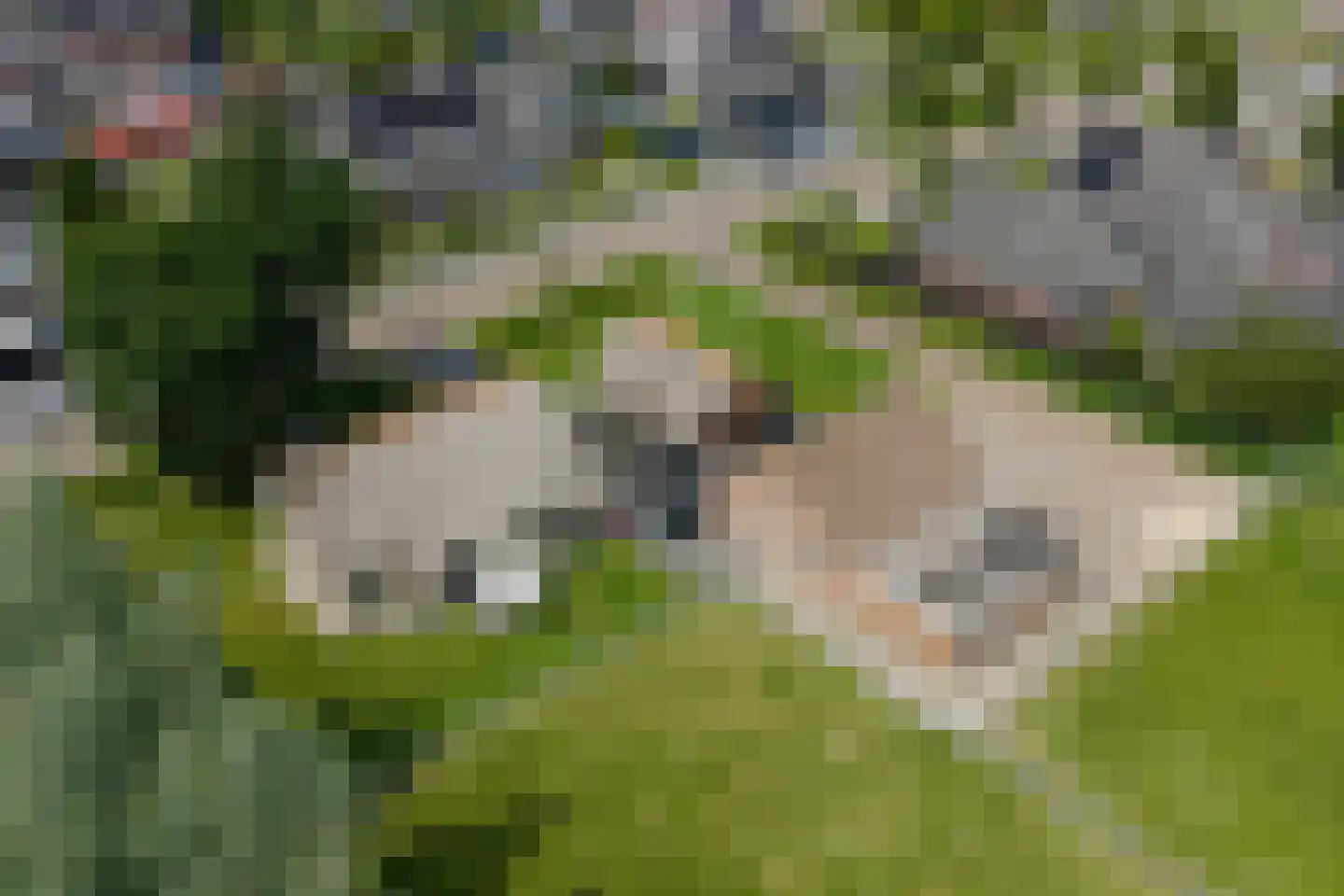 Oane Binnesloane 15 Twijzelerheide thumbnail 65