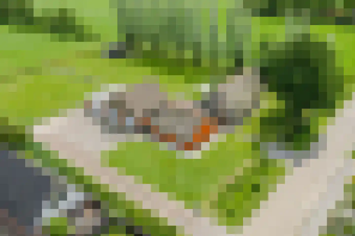 Oane Binnesloane 15 Twijzelerheide thumbnail 68