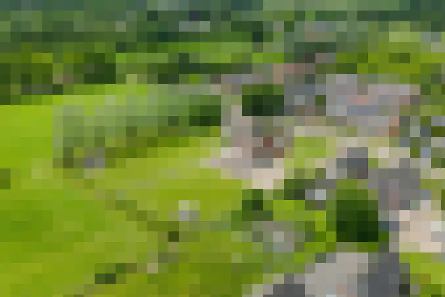 Oane Binnesloane 15 Twijzelerheide thumbnail 70