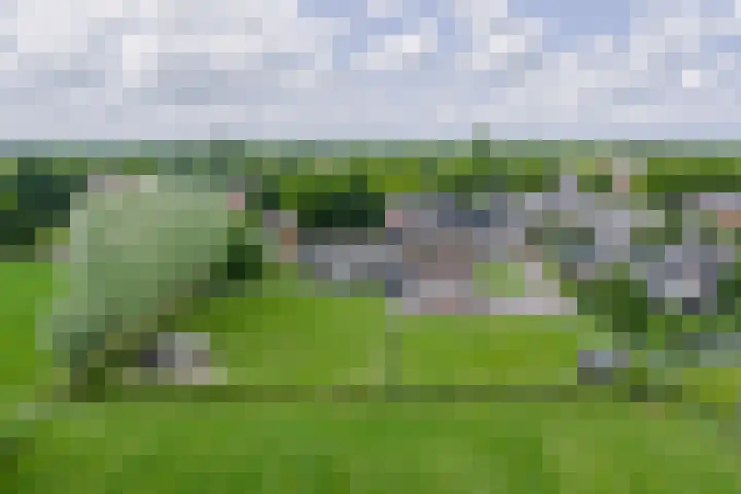 Oane Binnesloane 15 Twijzelerheide thumbnail 71