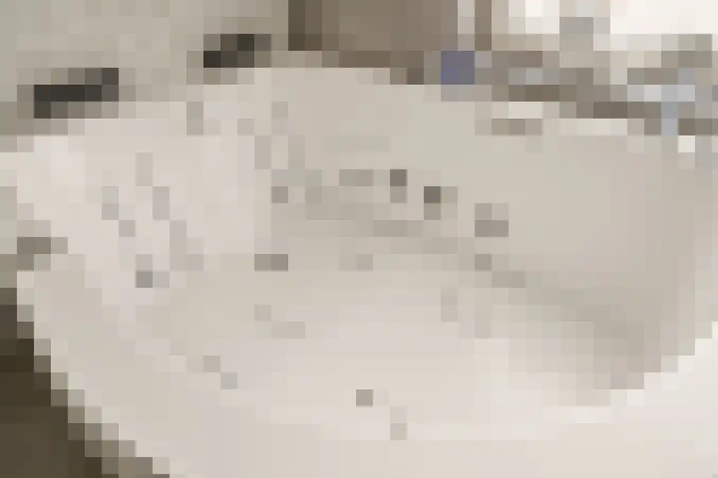 Oasedreef 3 Utrecht thumbnail 31