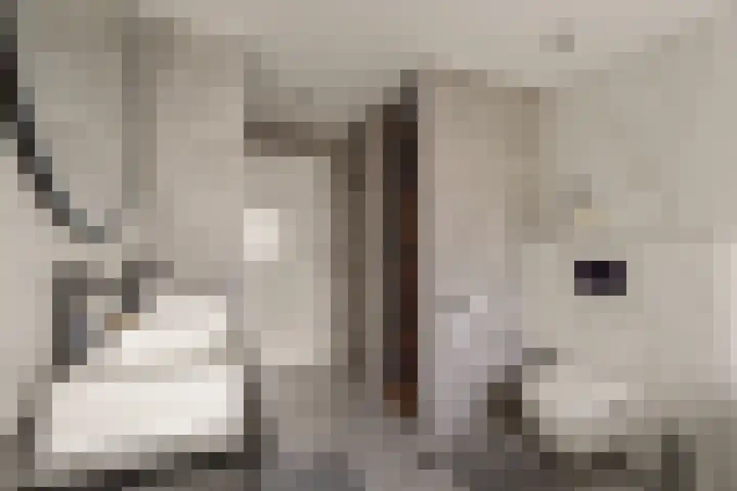 Oasedreef 3 Utrecht thumbnail 33