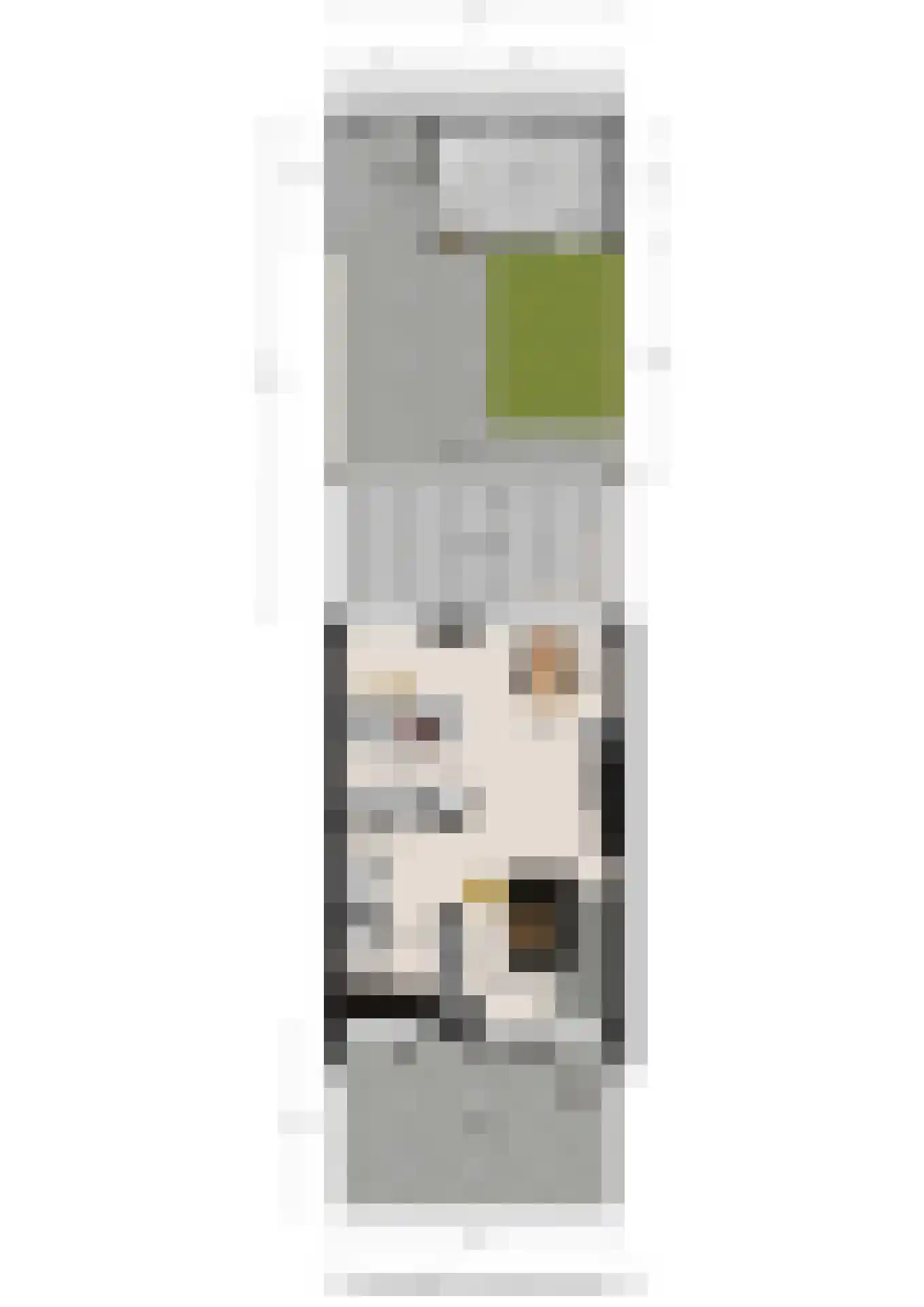 Oasedreef 3 Utrecht thumbnail 48