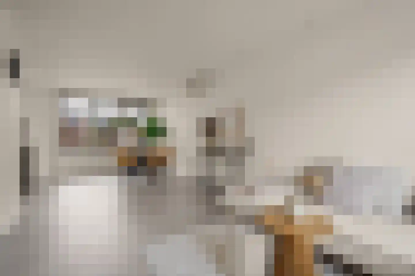 Oasedreef 3 Utrecht thumbnail 9