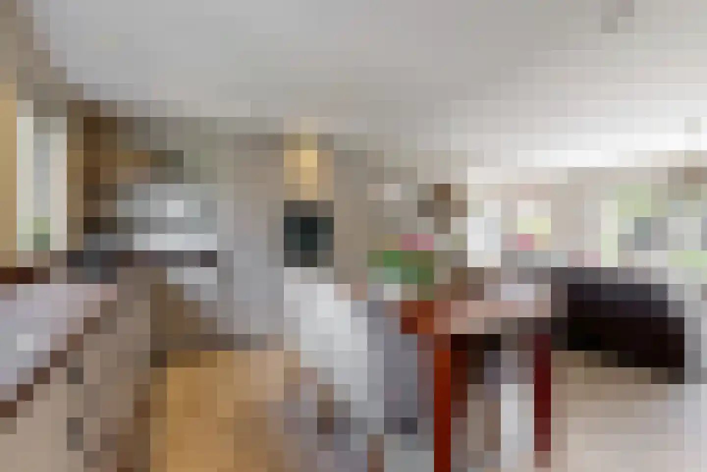 Oasestraat 32 Purmerend thumbnail 5