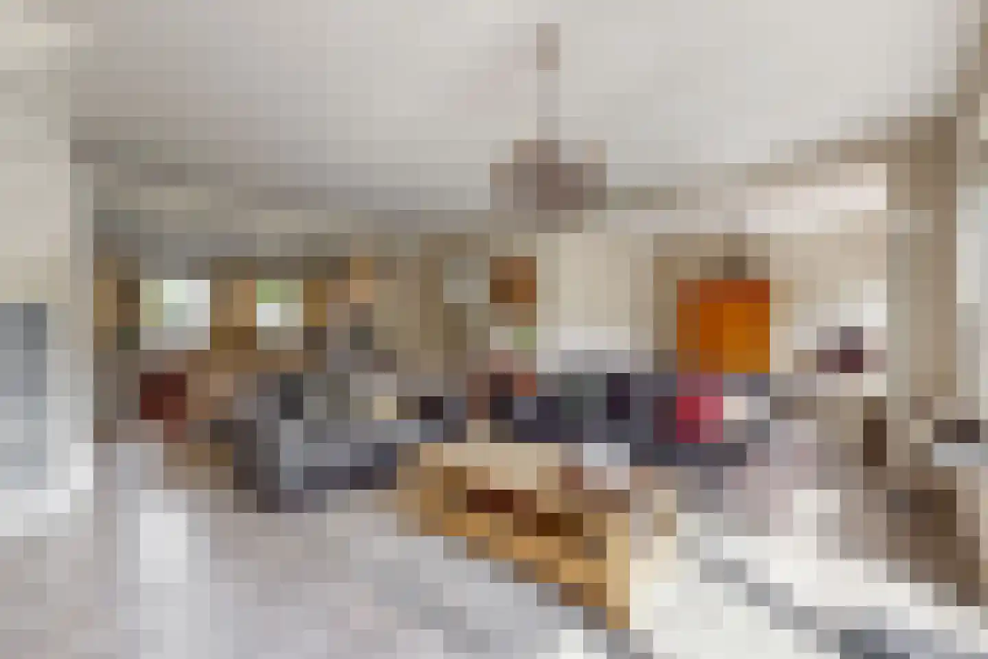 Oasestraat 32 Purmerend thumbnail 7