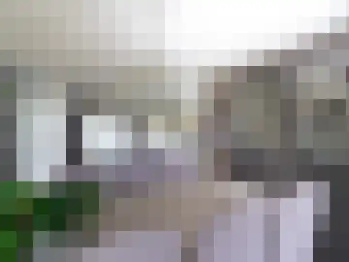 Oasisstraat 37 Lent thumbnail 5