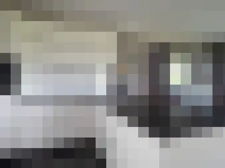 Oasisstraat 37 Lent thumbnail 8