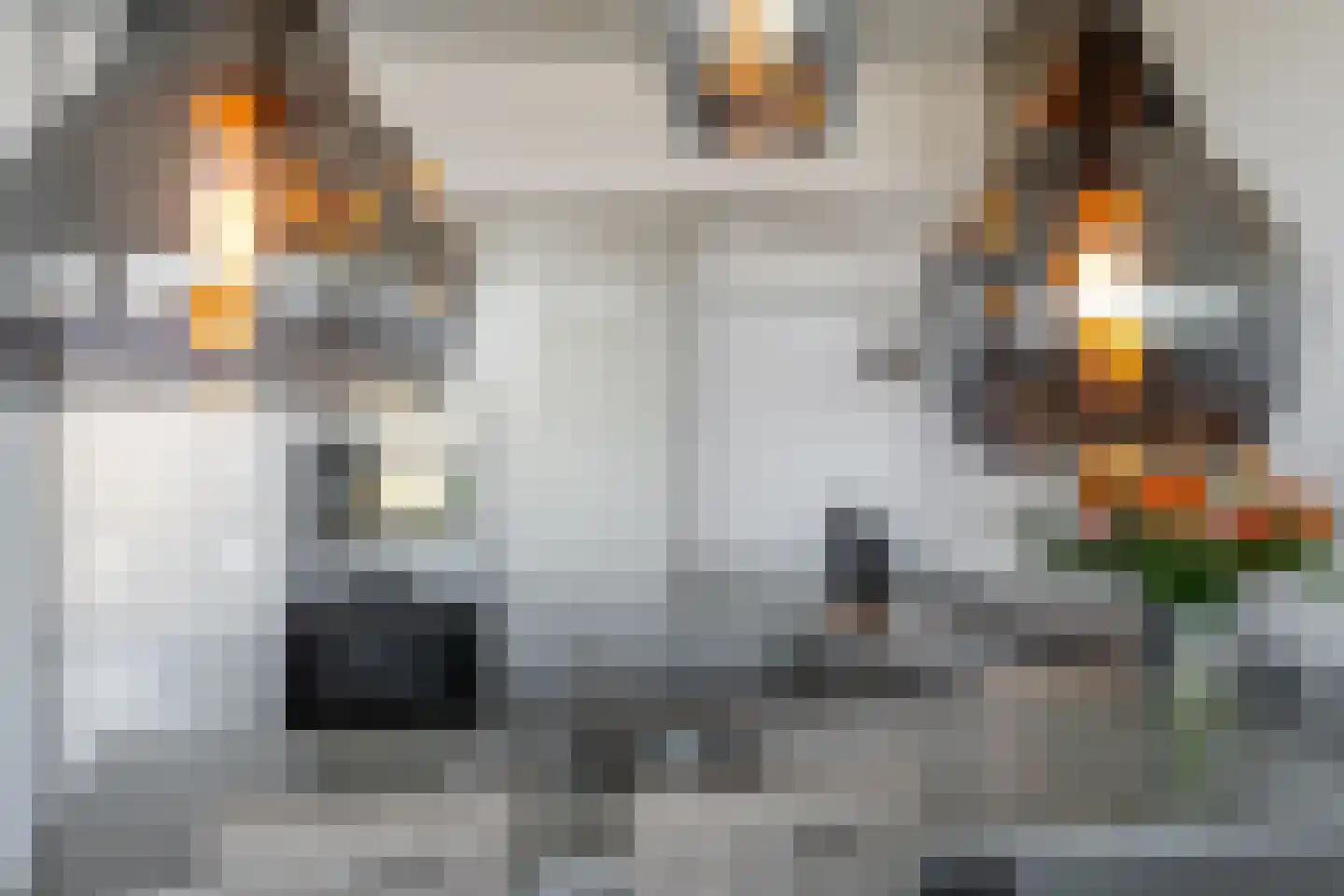 Oasisstraat 95 Lent thumbnail 22