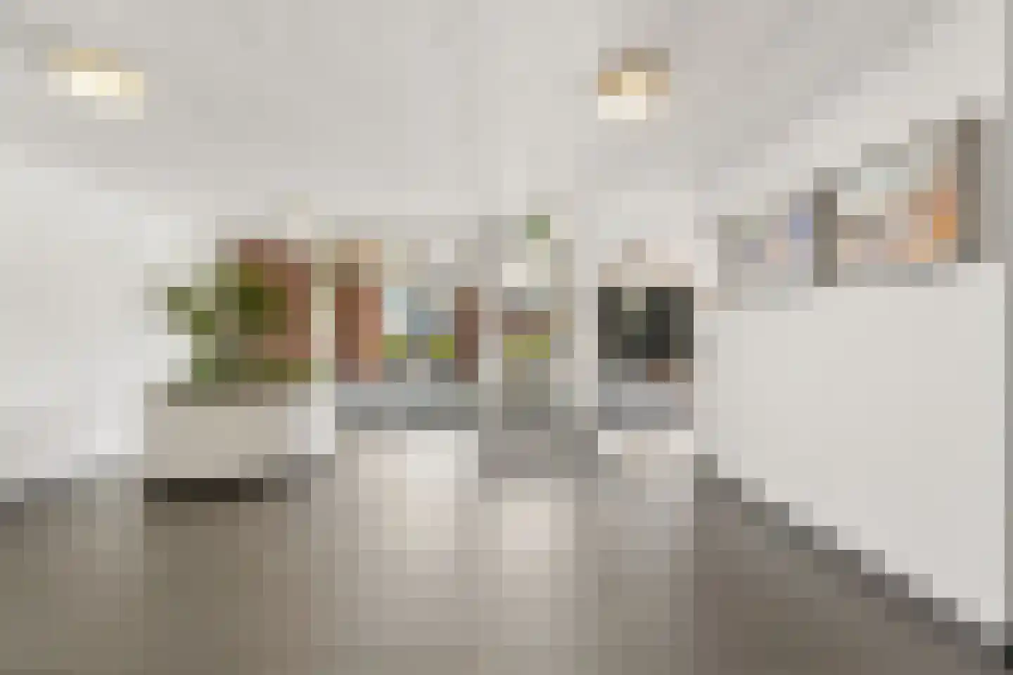 Oasisstraat 95 Lent thumbnail 8