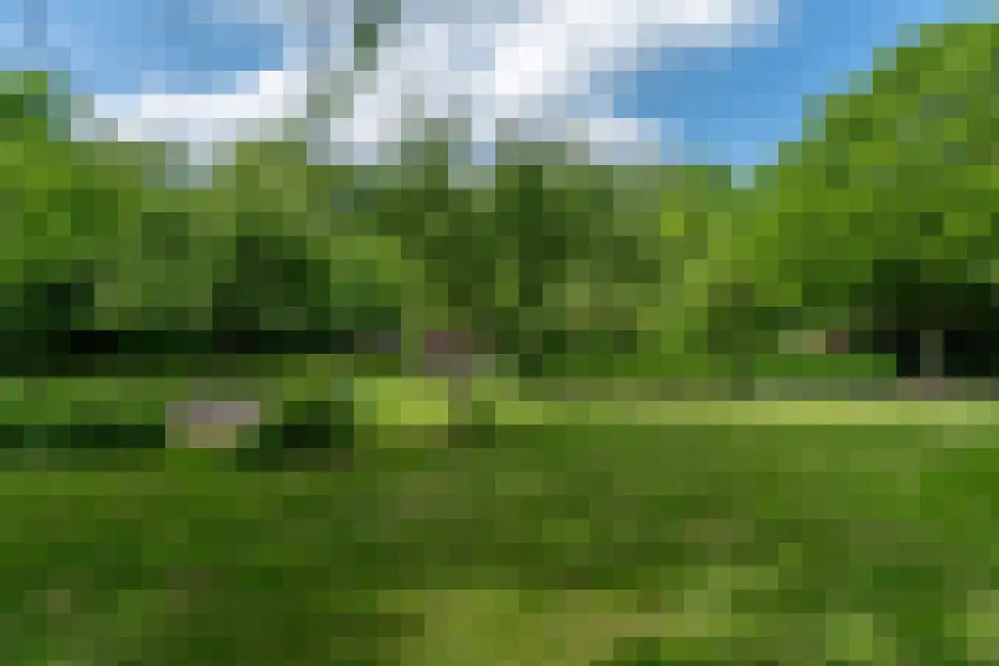 Oastein 12 Feanwâlden thumbnail 10