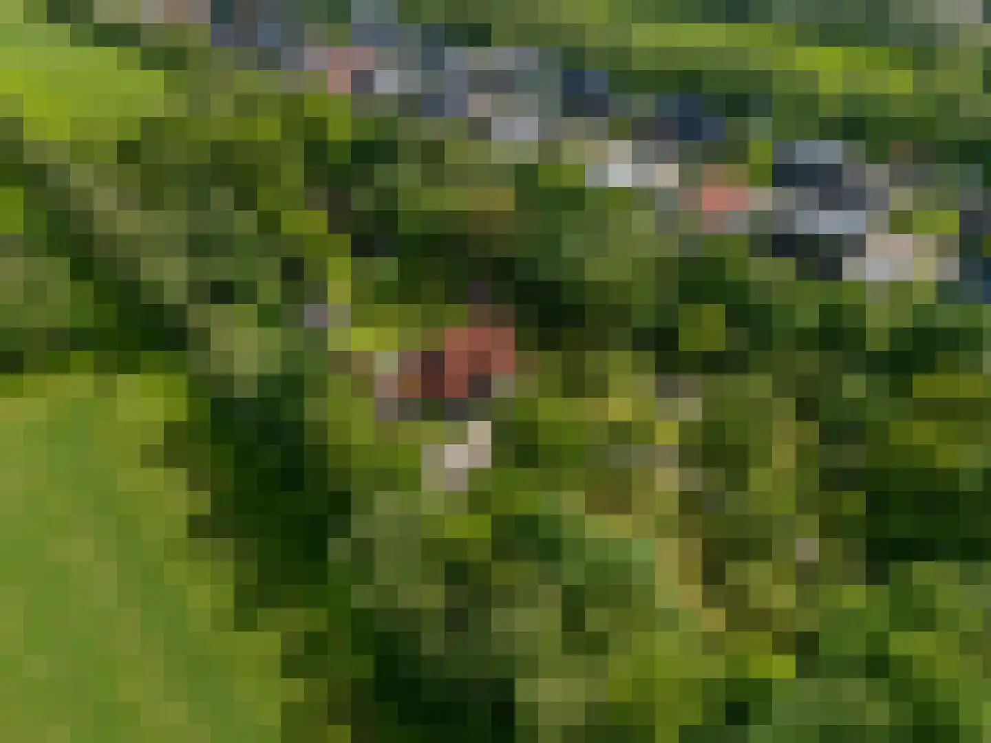 Oastein 12 Feanwâlden thumbnail 11