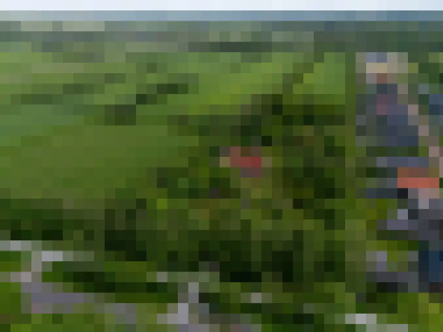 Oastein 12 Feanwâlden thumbnail 12
