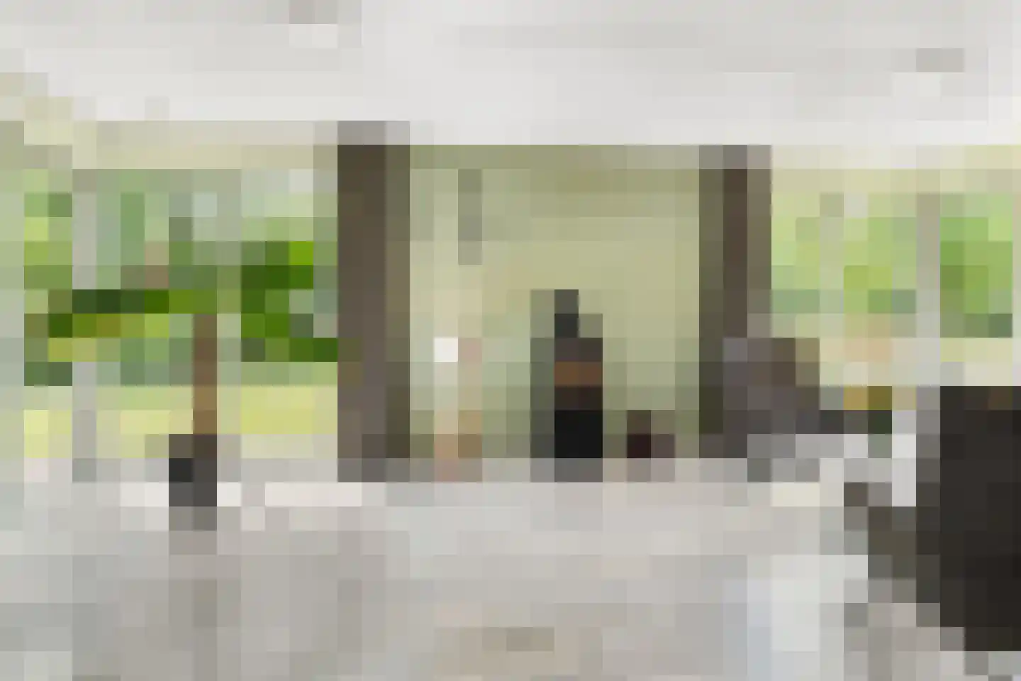 Oastein 12 Feanwâlden thumbnail 13