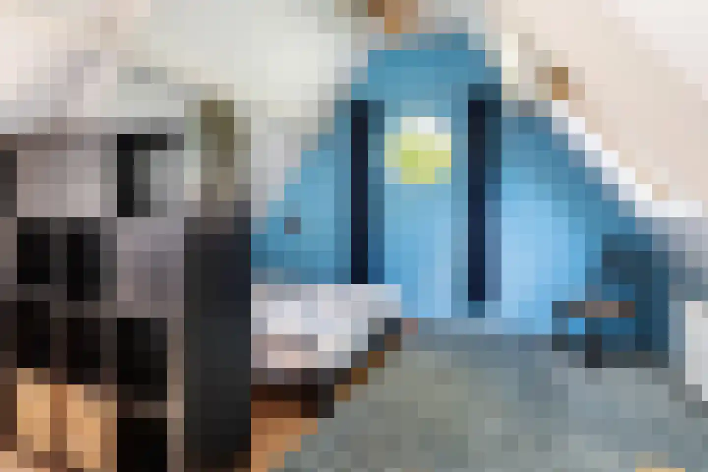 Oastein 12 Feanwâlden thumbnail 30