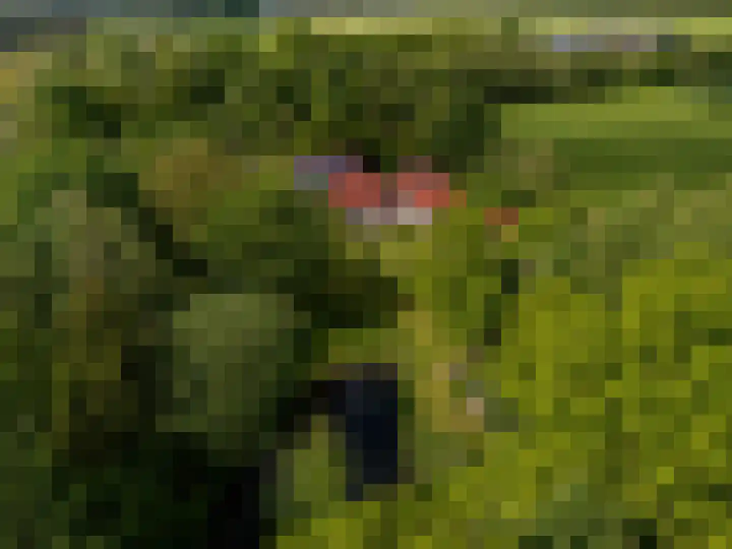 Oastein 12 Feanwâlden thumbnail 41