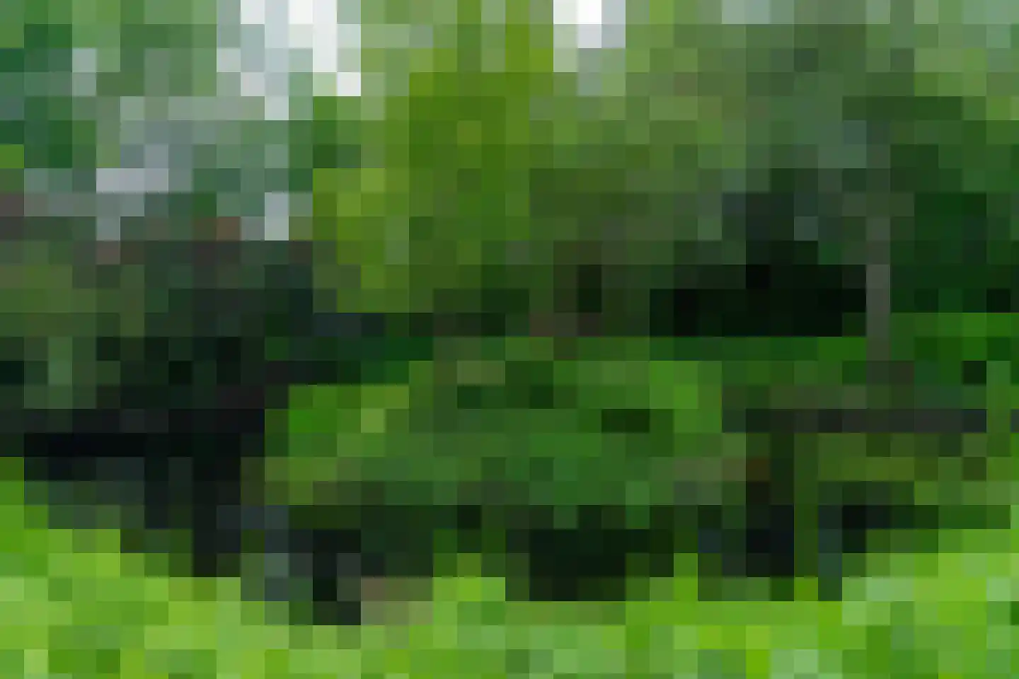 Oastein 12 Feanwâlden thumbnail 46