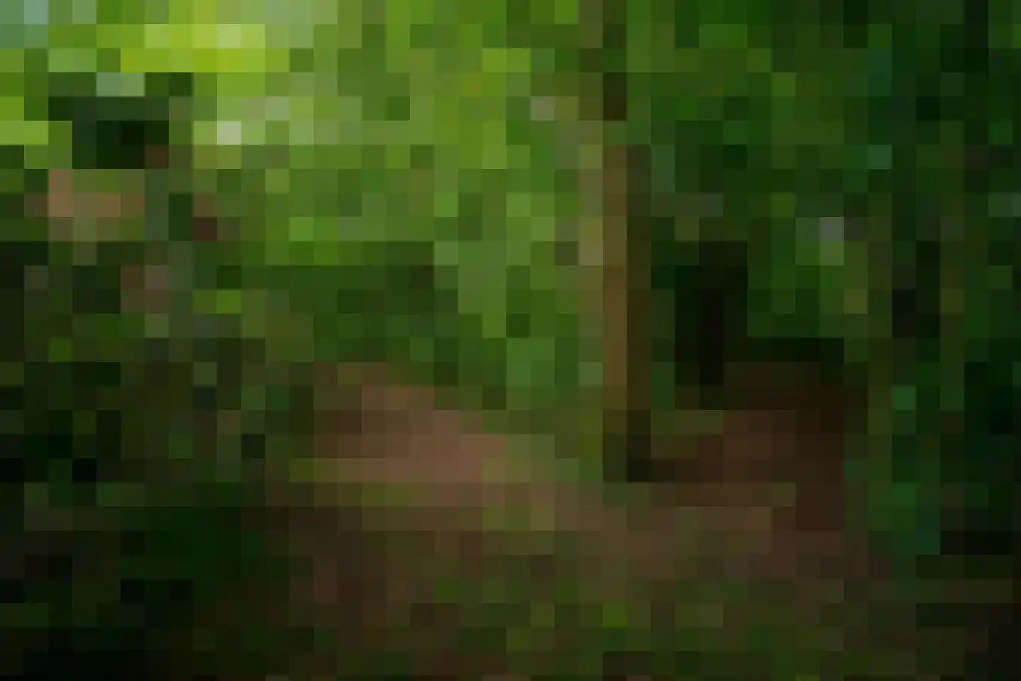 Oastein 12 Feanwâlden thumbnail 48