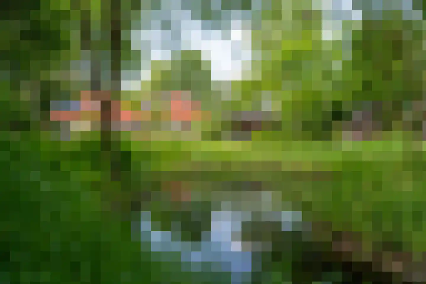 Oastein 12 Feanwâlden thumbnail 49