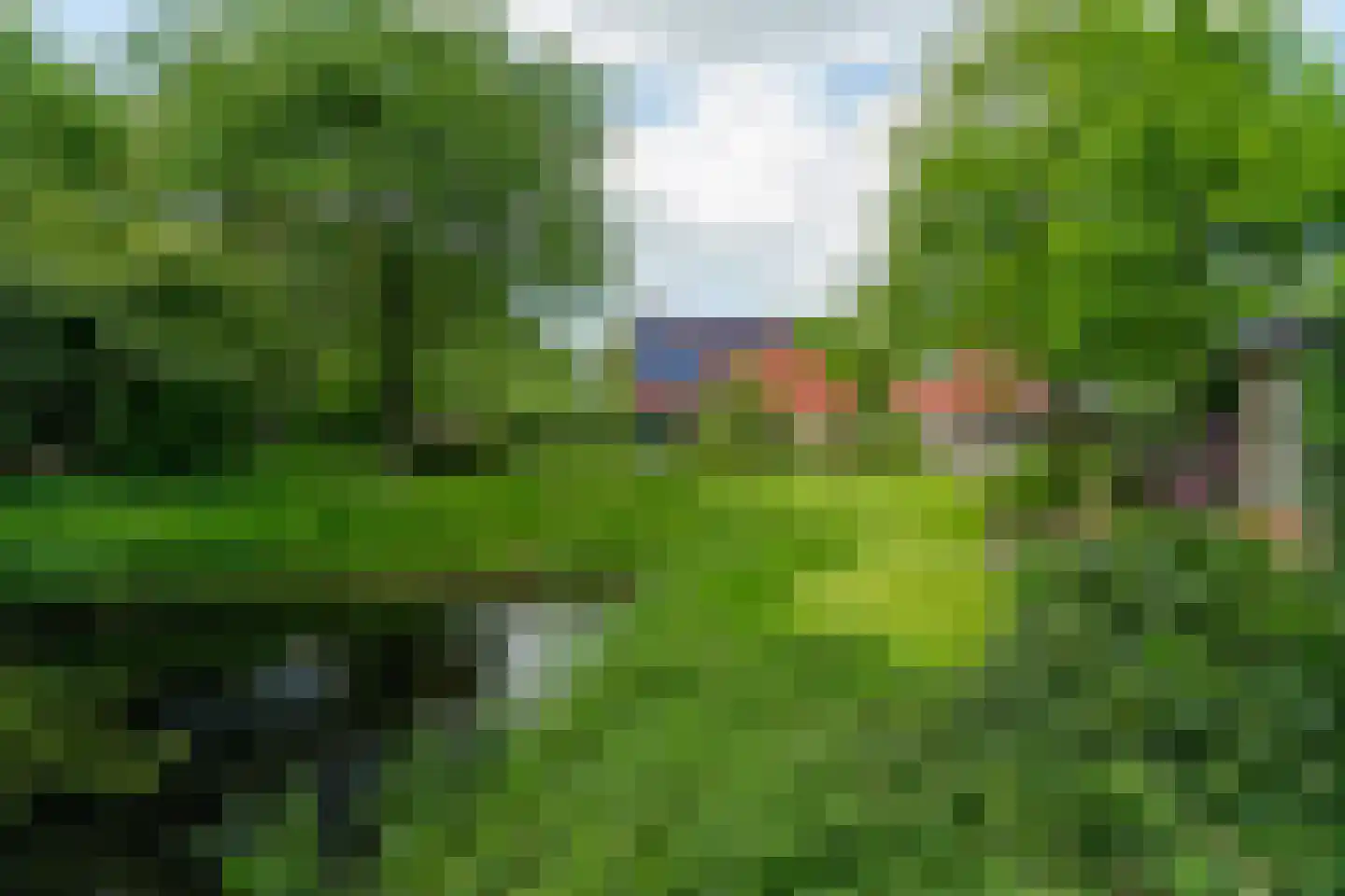 Oastein 12 Feanwâlden thumbnail 5