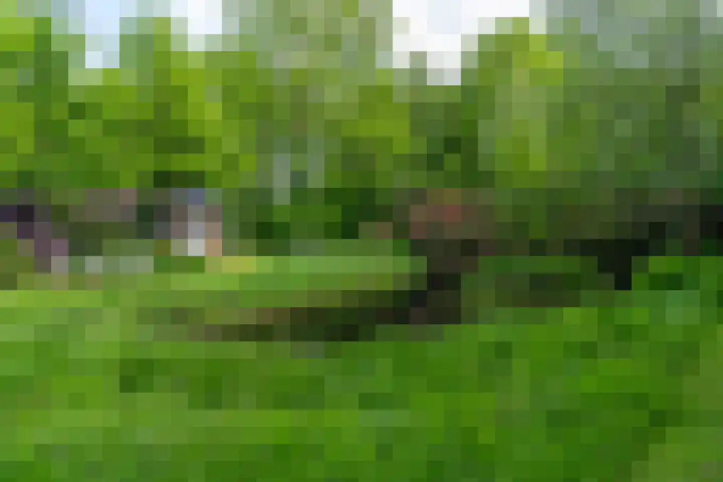 Oastein 12 Feanwâlden thumbnail 50