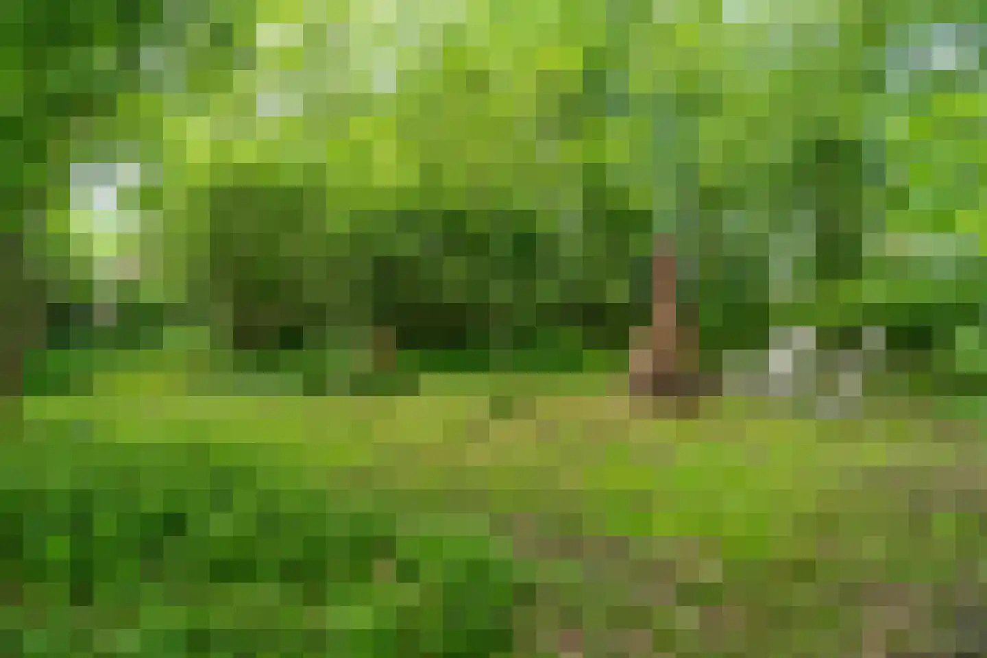 Oastein 12 Feanwâlden thumbnail 51