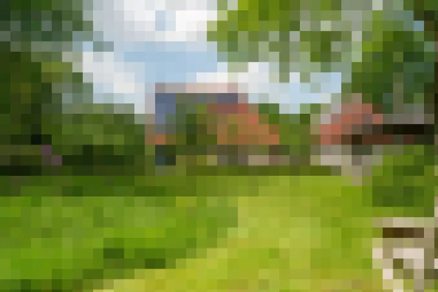 Oastein 12 Feanwâlden thumbnail 52