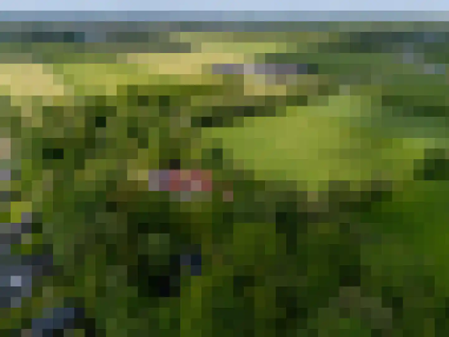 Oastein 12 Feanwâlden thumbnail 55