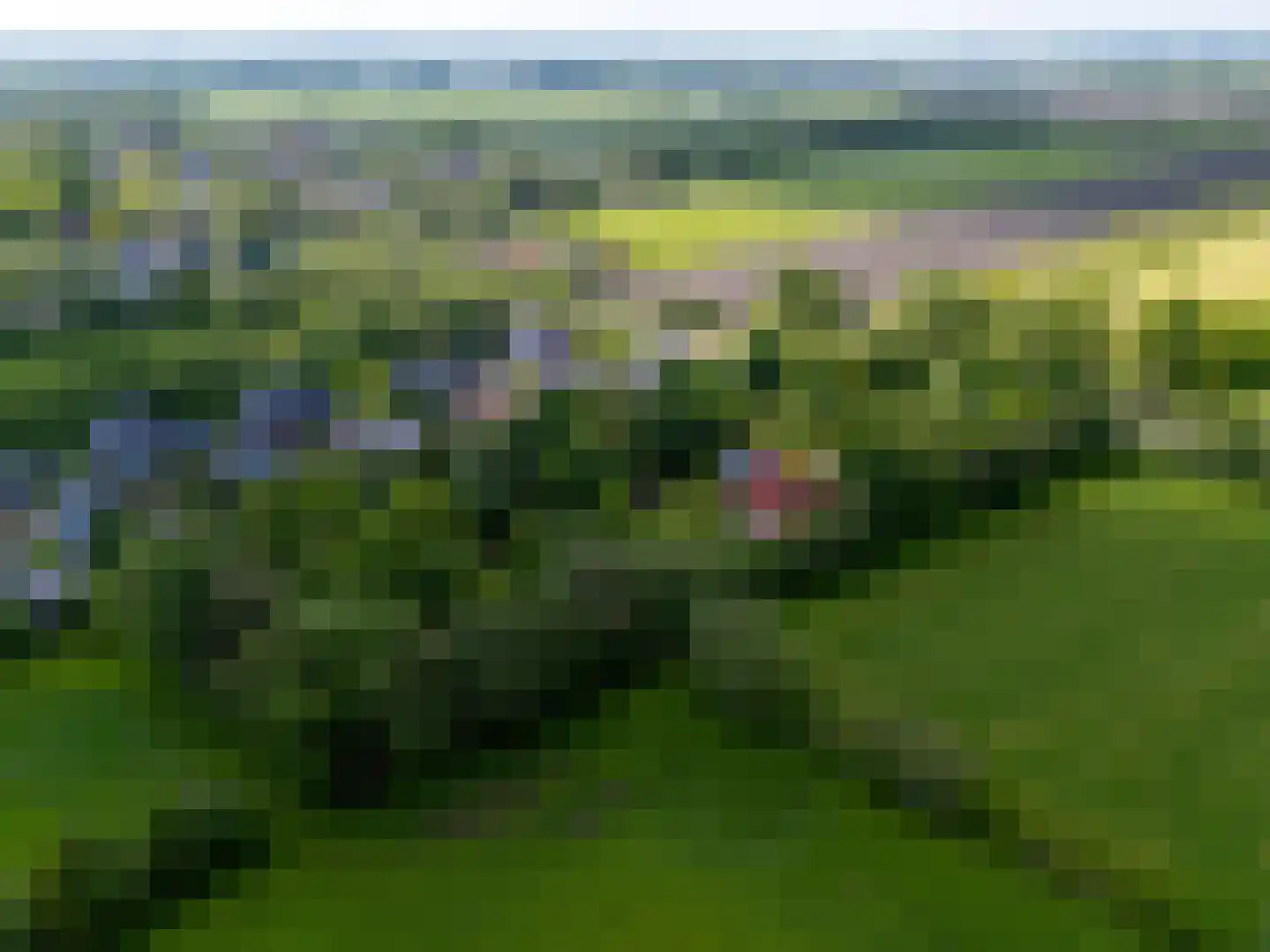 Oastein 12 Feanwâlden thumbnail 56