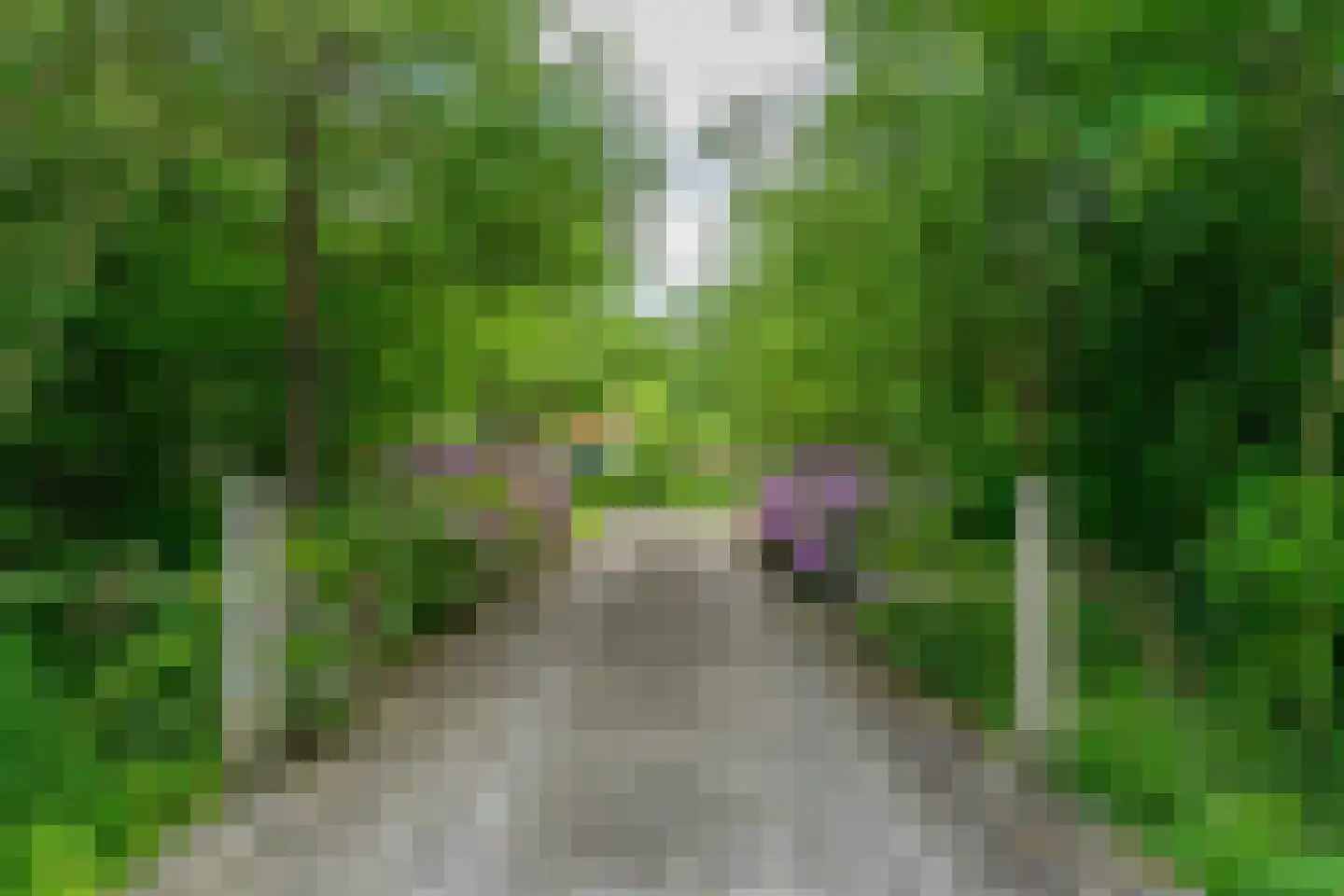 Oastein 12 Feanwâlden thumbnail 6