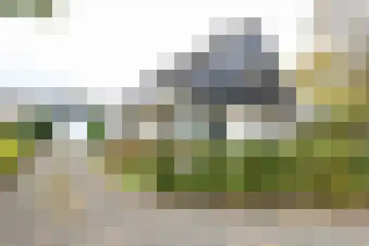 Obalaan 2 Oostvoorne