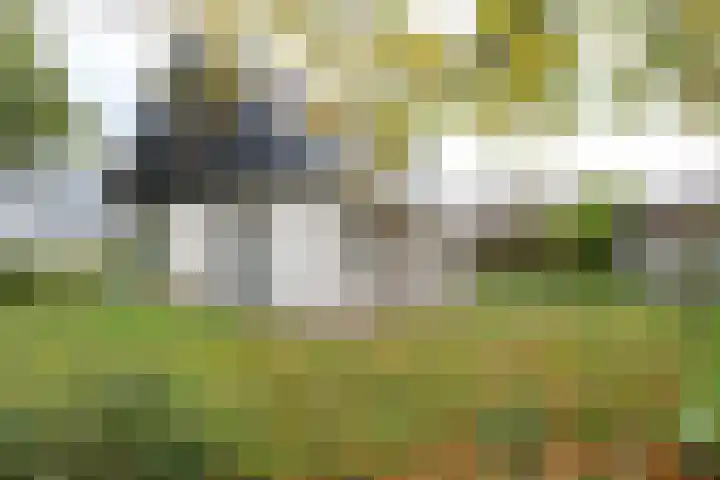 Obalaan 2 Oostvoorne thumbnail 10