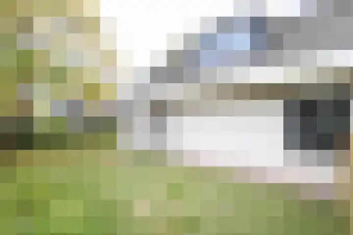 Obalaan 2 Oostvoorne thumbnail 11