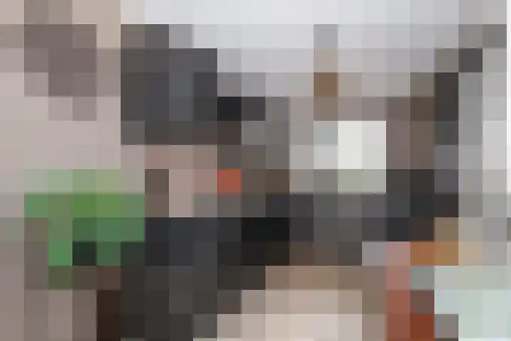 Obalaan 2 Oostvoorne thumbnail 25