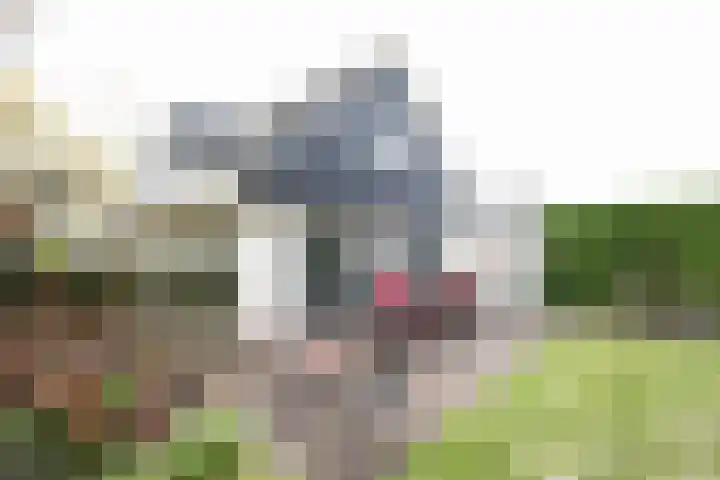 Obalaan 2 Oostvoorne thumbnail 47