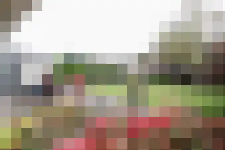 Obalaan 2 Oostvoorne thumbnail 51