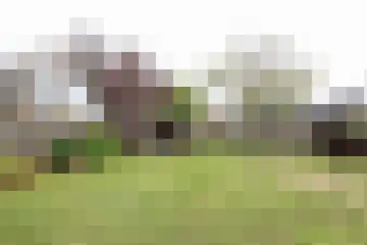 Obalaan 2 Oostvoorne thumbnail 54