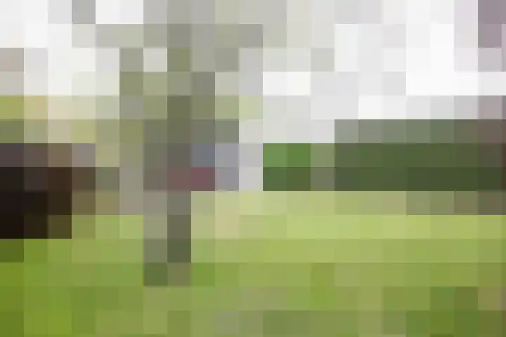 Obalaan 2 Oostvoorne thumbnail 55