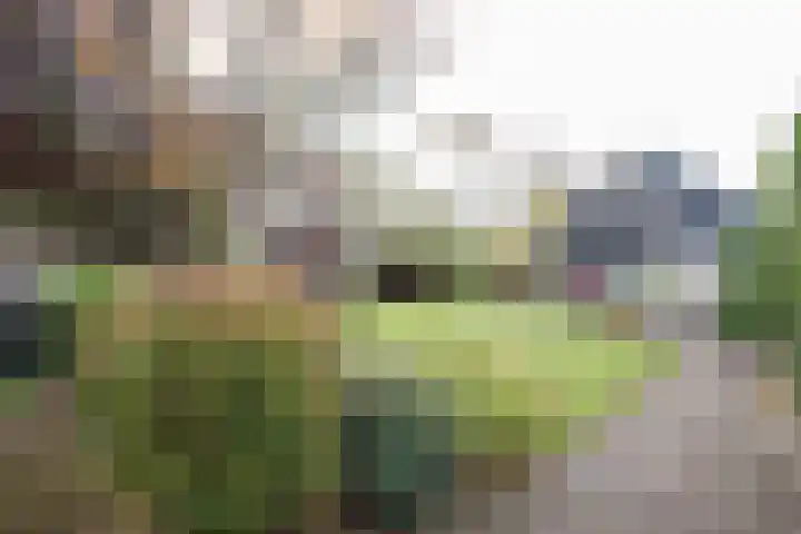 Obalaan 2 Oostvoorne thumbnail 61