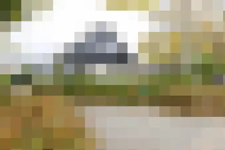 Obalaan 2 Oostvoorne thumbnail 7