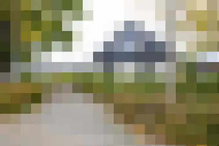 Obalaan 2 Oostvoorne thumbnail 8